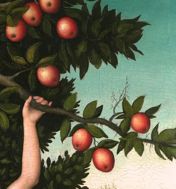 Eve's hand reaching for apples on a branch, from Cranach's Adam and Eve